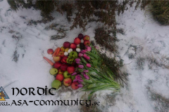 Disablot_2018_02-10_15