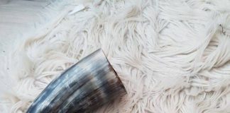 NAC in New York Times